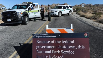trump shutdown national parks joshua tree