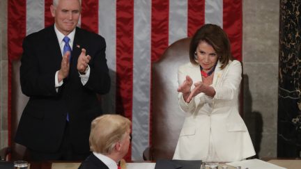 Nancy Pelosi sarcastically claps at Donald Trump's State of the Union Address