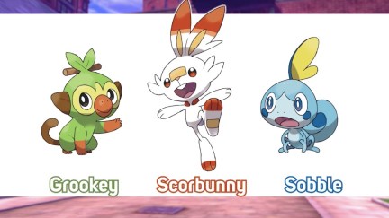 The three starter Pokémon for Pokémon Sword and Shield on Nintendo Switch.
