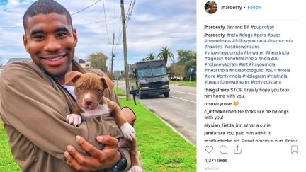 Pups of Jay Hardesty Instagram