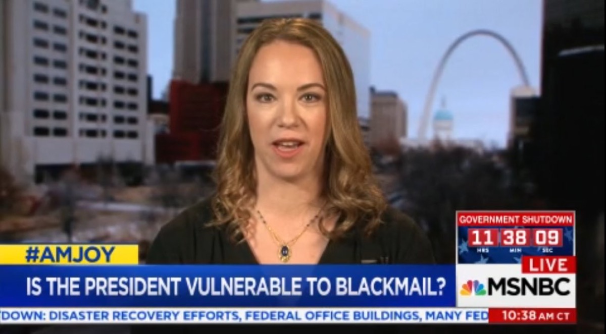 Journalist Sarah Kendzior on MSNBC News.