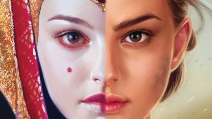 Padmé Amidala on the cover of the Queen's Shadow Star Wars book.