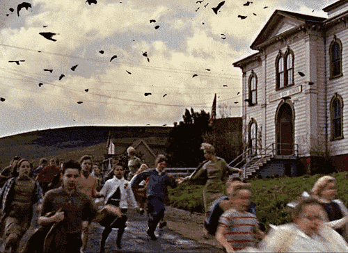Tippi Hedren and some kids run the fuck away from those birds.