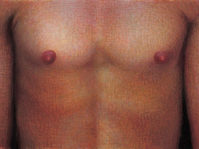 Live Oak with Moss art by Brian Selznick