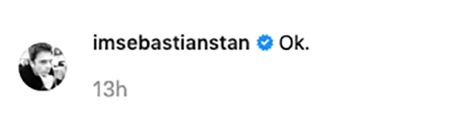 Sebastian Stan's Ok.