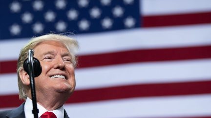 Donald Trump gives his best approximation of a human smile in front of the American flag.