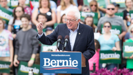 bernie sanders campaigns in vermont.