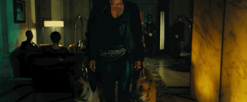 Halle Berry Sofia John Wick the Puppy Princess