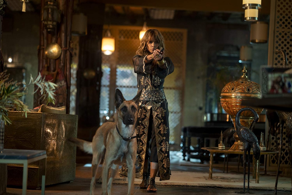 Halle Berry Queen of Doggos in John Wick 3.