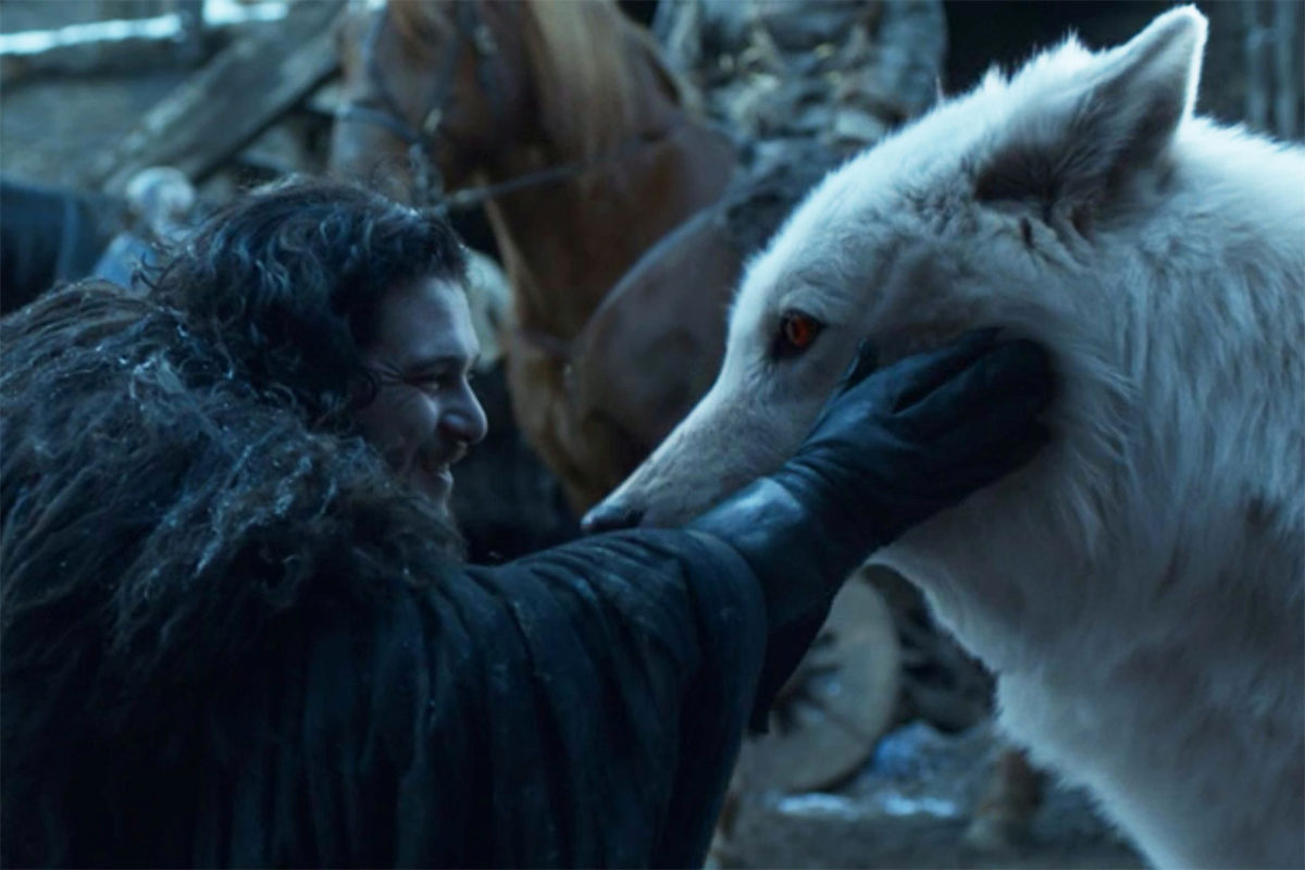 Jon Snow and Ghost on Game of Thrones.