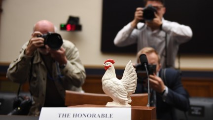 Photographers take a picture of a chicken placed on the empty seat for US Attorney General Bill Barr in the House Judiciary Committee room on Capitol Hill.