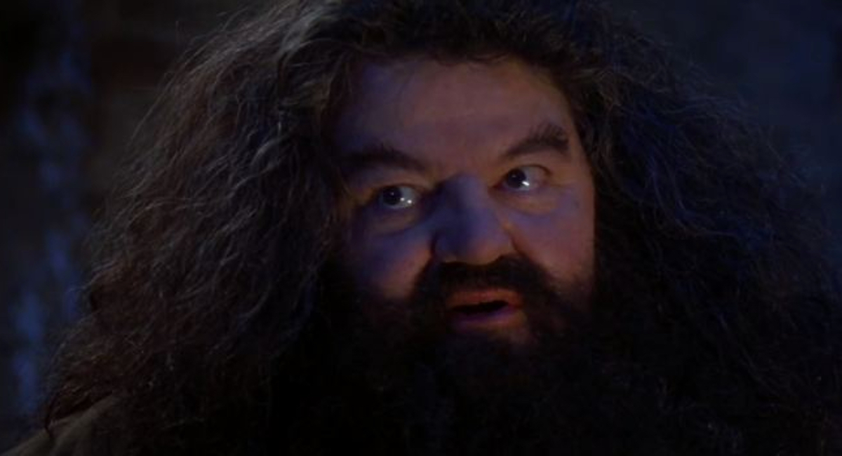 Hagrid (Robbie Coltrane) tells Harry about his powers in Harry Potter and the Sorcerer's Stone.