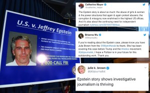 Dogged Epstein Journalist Julie K. Brown Is Getting the Praise She