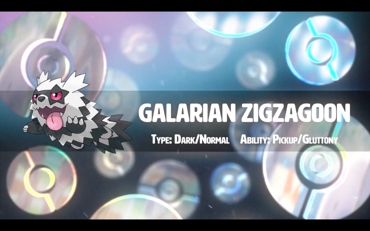 Galarian Zizagoon