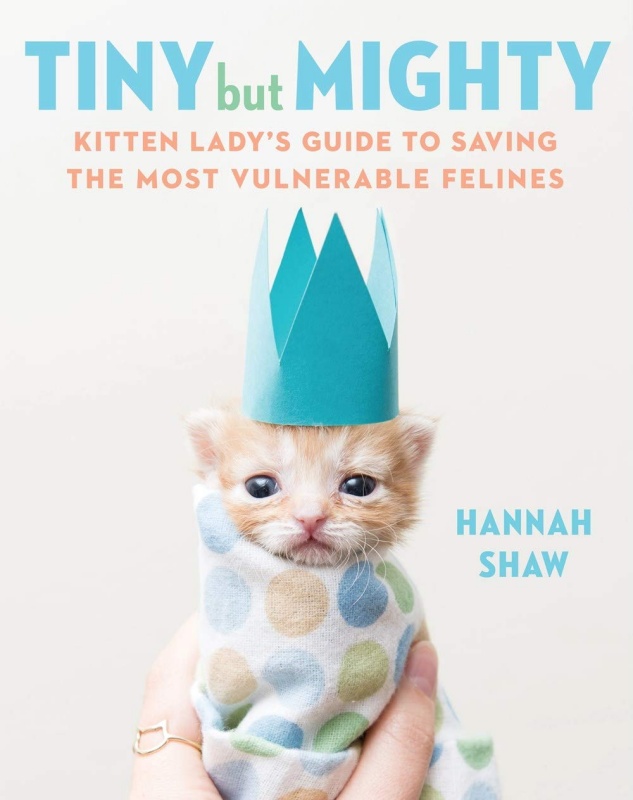 Tiny But Mighty Kitten Lady book cover