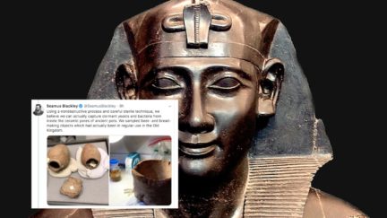 Seamus Blackley baked ancient Egyptian bread