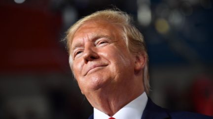 Donald Trump smirking like a goon.