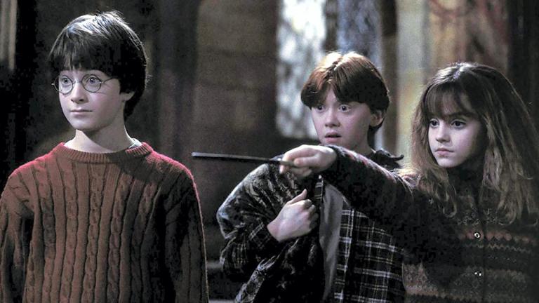 Will There Be a Harry Potter HBO Series? The Harry Potter TV Series