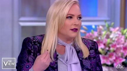 Meghan McCain pouts during The View.
