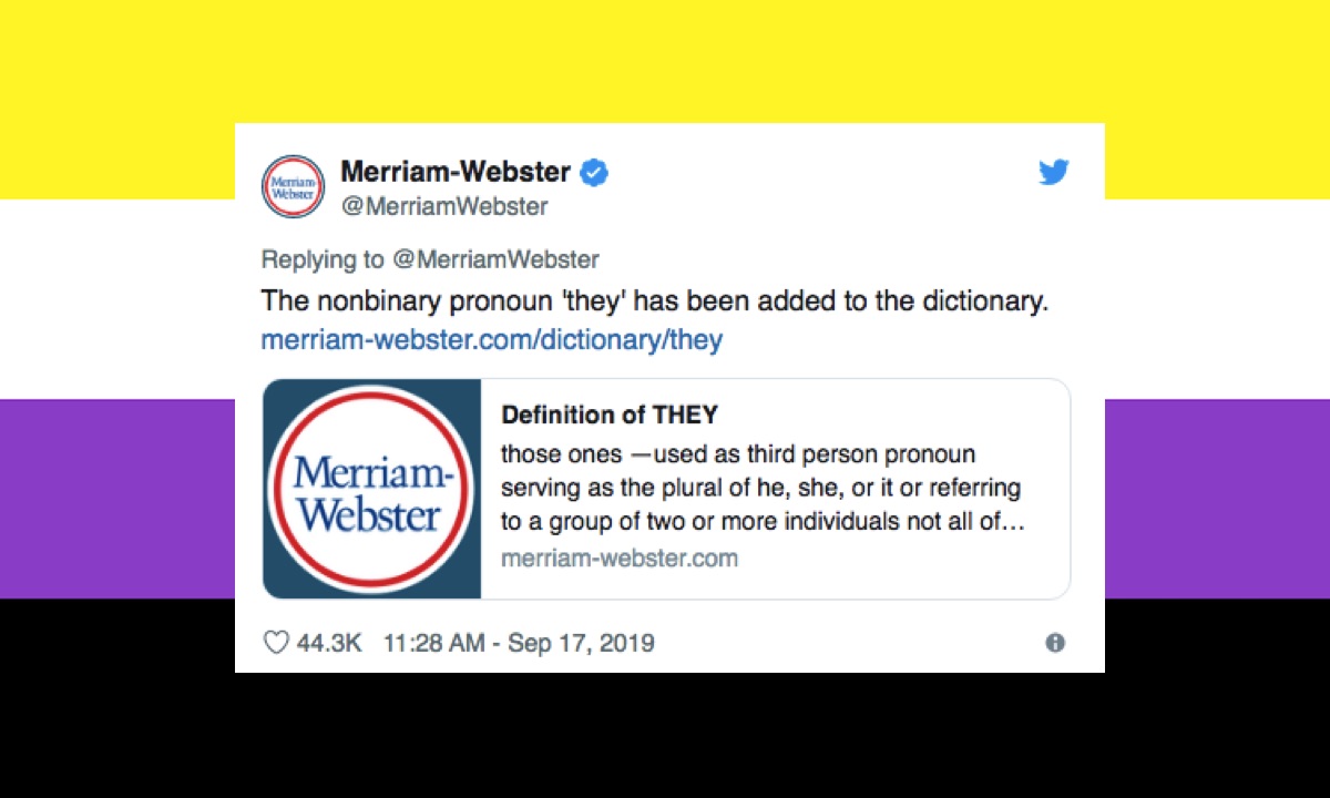 Merriam-Webster Dictionary defines they as nonbinary pronoun
