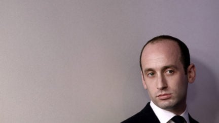 Stephen Miller standing against a gray wall looking like a Nosferatu glamor shot.