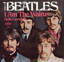 I Am the Walrus cover.