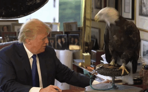 Trump being attacked by an eagle