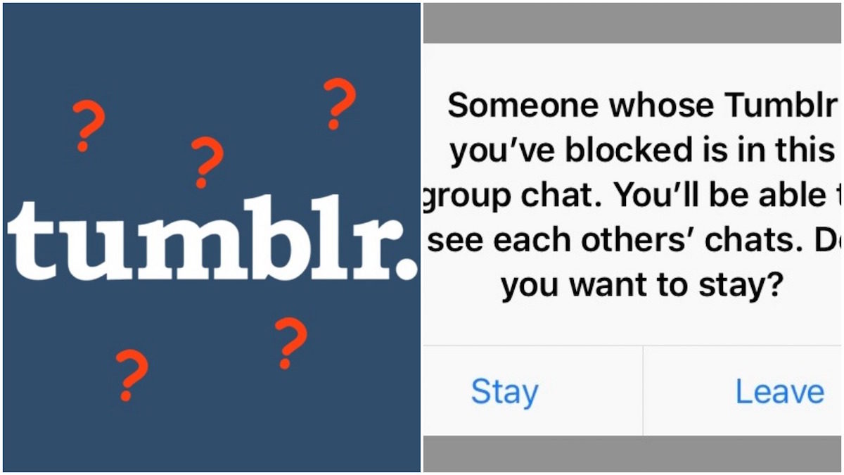 Tumblr new group chat feature