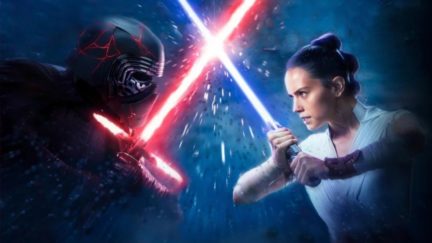 Kylo Ren and Rey fighting like siblings