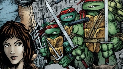 The original teenage mutant ninja turtles when they all had the same bandana