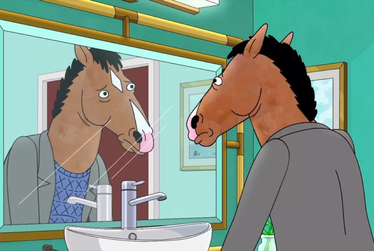 Bojack Horseman looks in the mirror.
