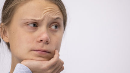 Greta Thunberg rests her chin in her hand and raises an eyebrow during a press conference