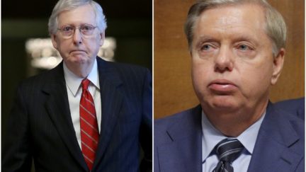 collage of two racid bowls of yougurt aka mitch mcconnel and lindsey graham