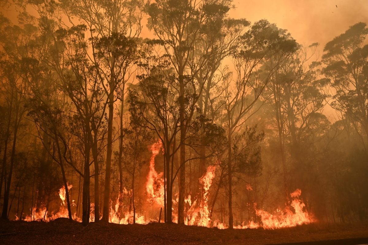 australia bush fires