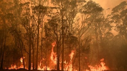 australia bush fires