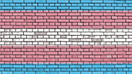 trans pride brick wall