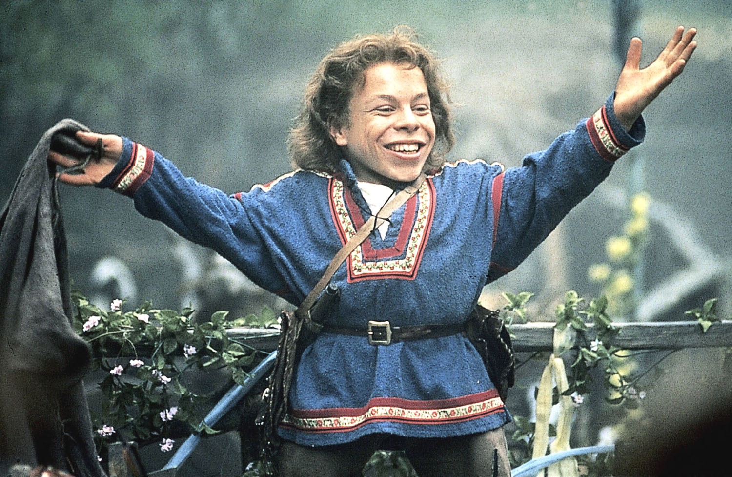 Warwick davis as Willow