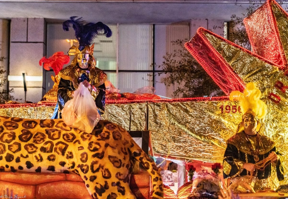 a nightame mardi gras parade in mobile