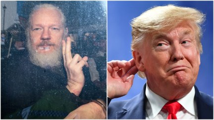 Julian assange and fonald trump, collage. Jack Taylor/Getty Images