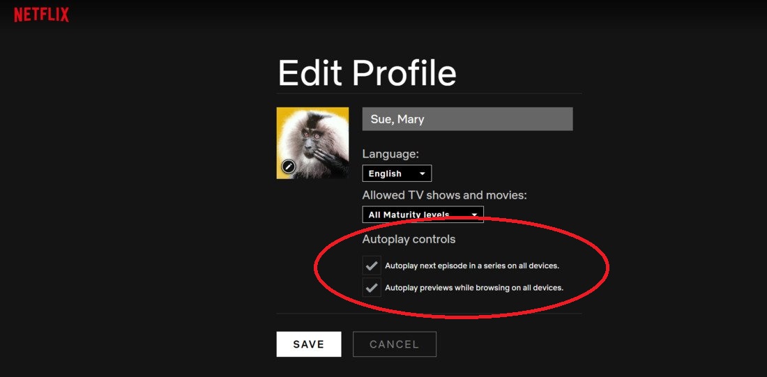 netflix profile screen
