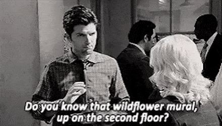 Adam Scott in Parks and Recreation