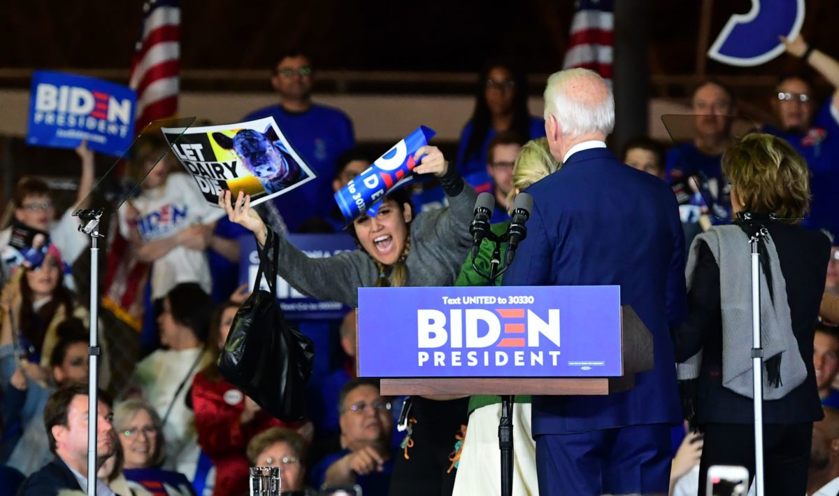 biden protester