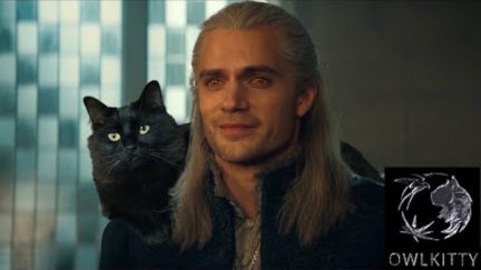 Owl-Kitty Studios makes a video for The Witcher