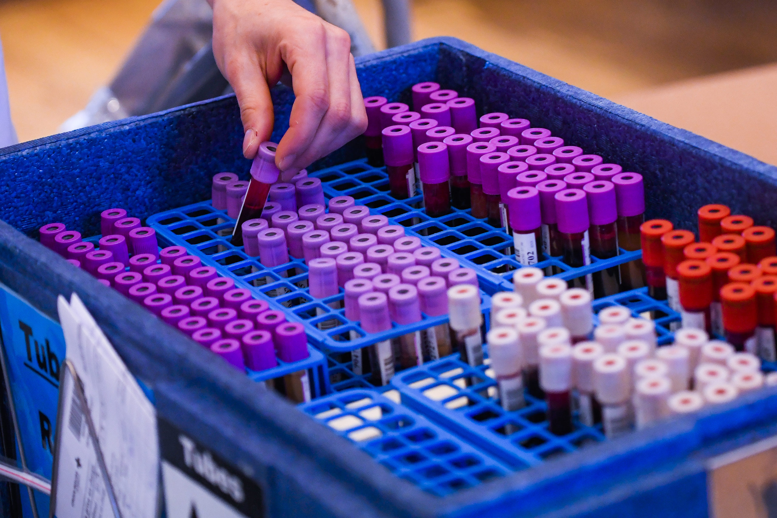 Illustration picture shows a Red Cross blood donation center in Watermael-Boitsfort/ Watermaal-Bosvoorde, Brussels, Thursday 19 March 2020. From March 18th, new measures are taken to avoid the spread of the Covid-19. There are 1795 persons infected in Belgium, so far. BELGA PHOTO LAURIE DIEFFEMBACQ (Photo by LAURIE DIEFFEMBACQ/BELGA MAG/AFP via Getty Images)