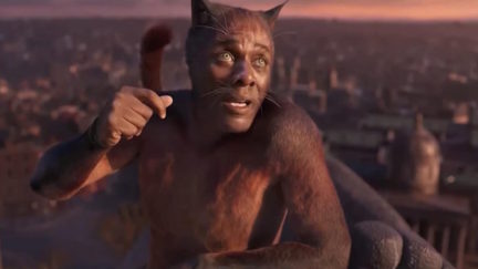 Cats the movie has a butthole cut