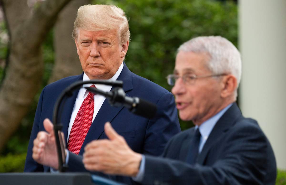 Donald Trump listens as Director of the National Institute of Allergy and Infectious Diseases Dr. Anthony Fauci speaks during a Coronavirus Task Force press briefing in the Rose Garden of the White House