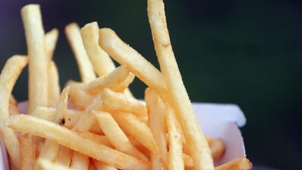 french fries