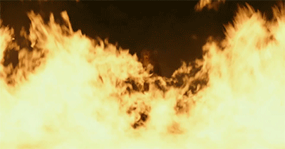 monkey on a horse with a shotgun