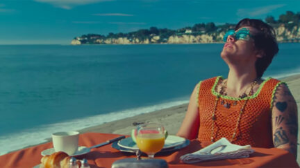 Harry Styles in Watermelon Sugar