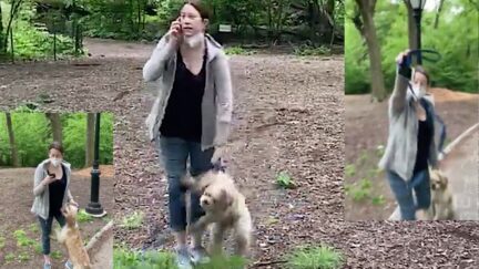 Amy Cooper yanks her dog's leash while calling the police.